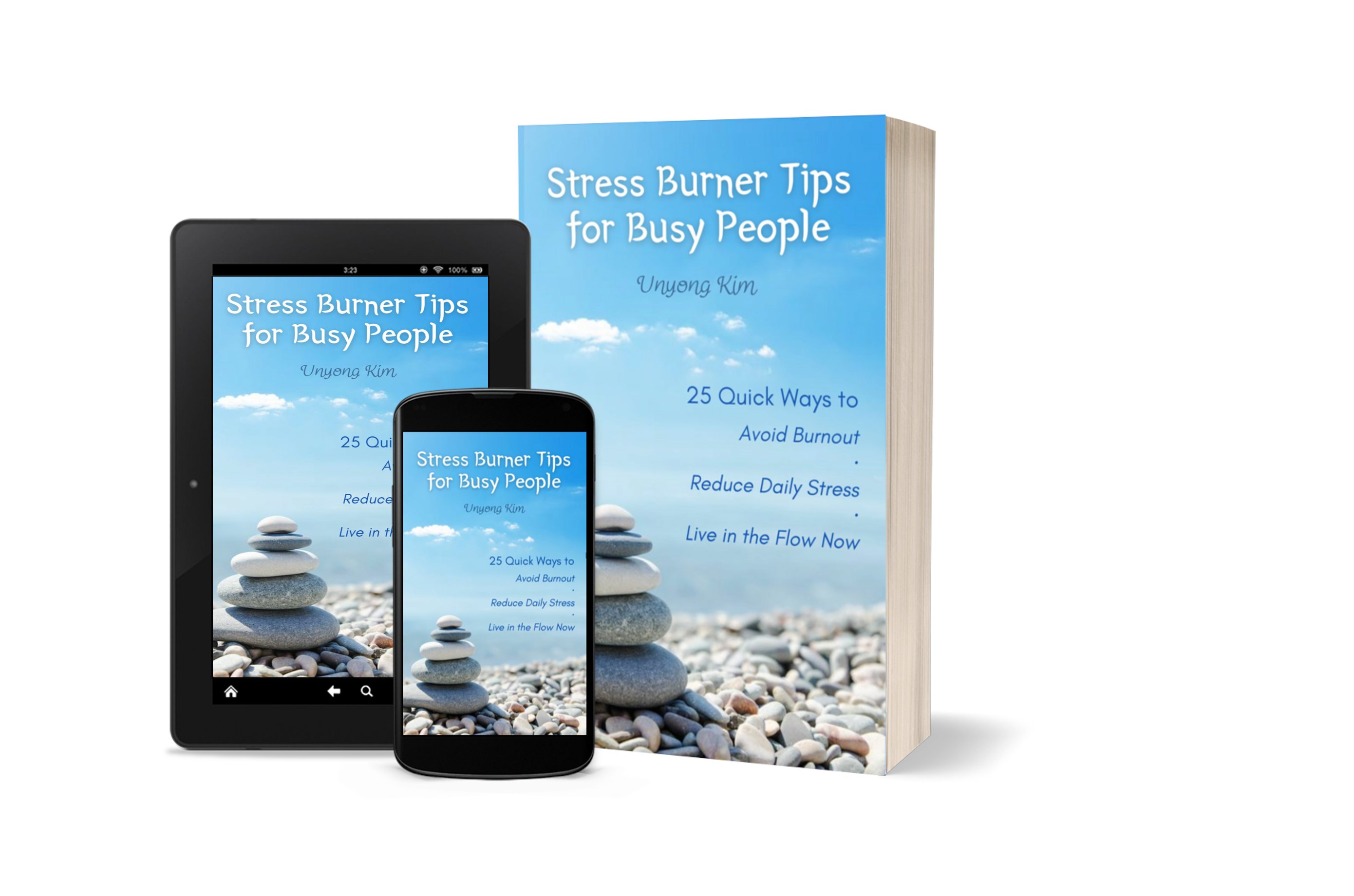 Stress Burner book
